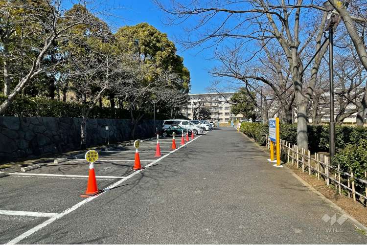 花畑公園の写真