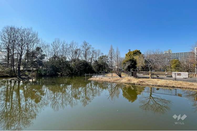 桑袋ビオトープ公園の写真