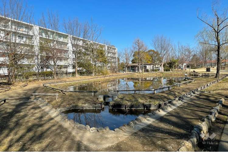 桑袋ビオトープ公園の写真