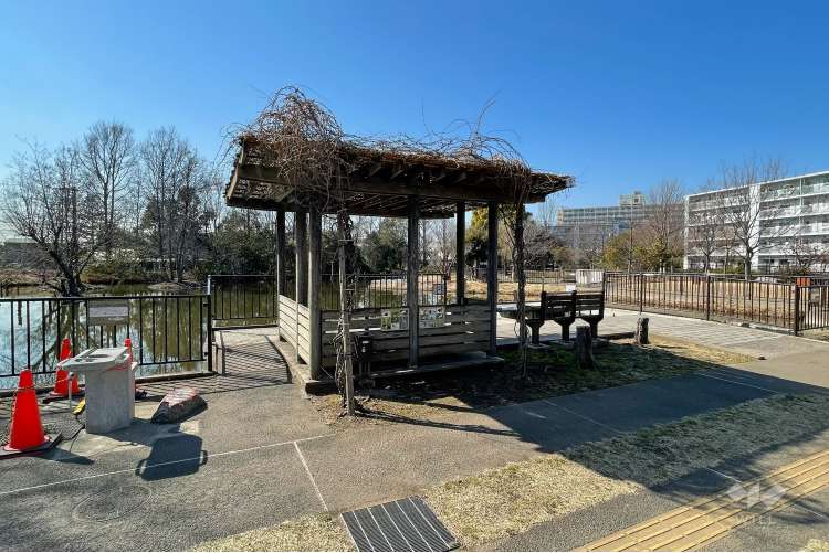 桑袋ビオトープ公園の写真