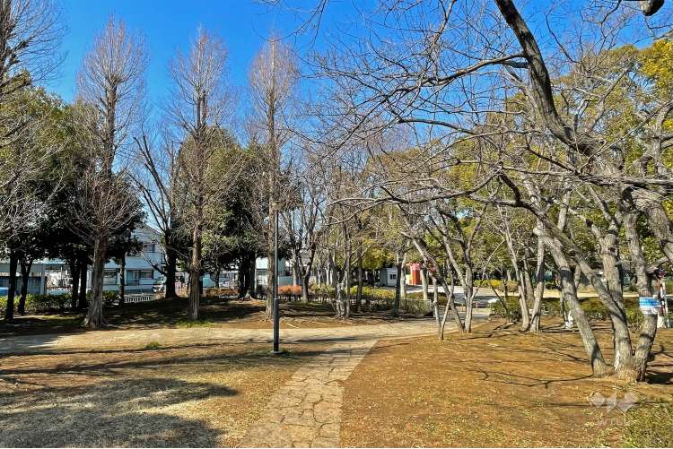 あいぐみ緑地公園の写真