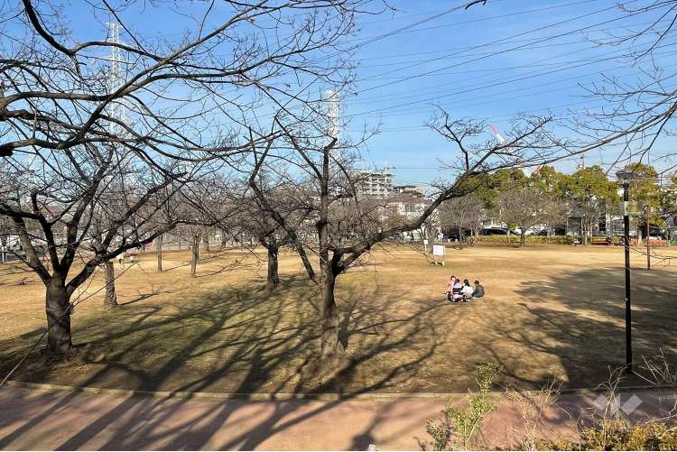 一ツ家第一公園の写真
