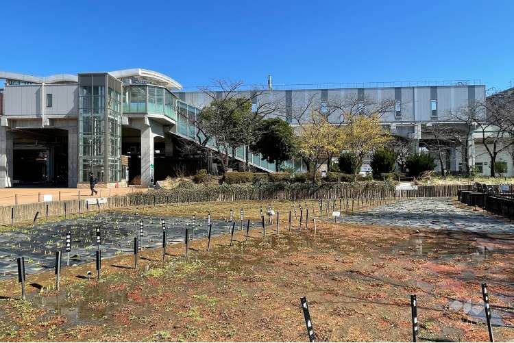 しょうぶ沼公園の写真