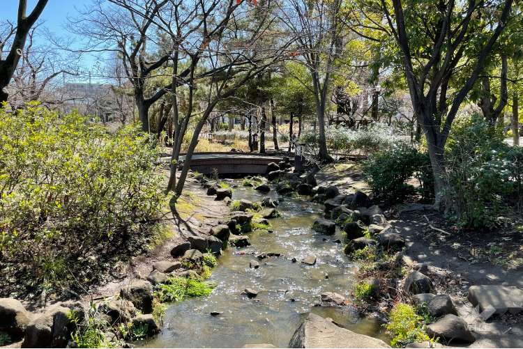 しょうぶ沼公園の写真