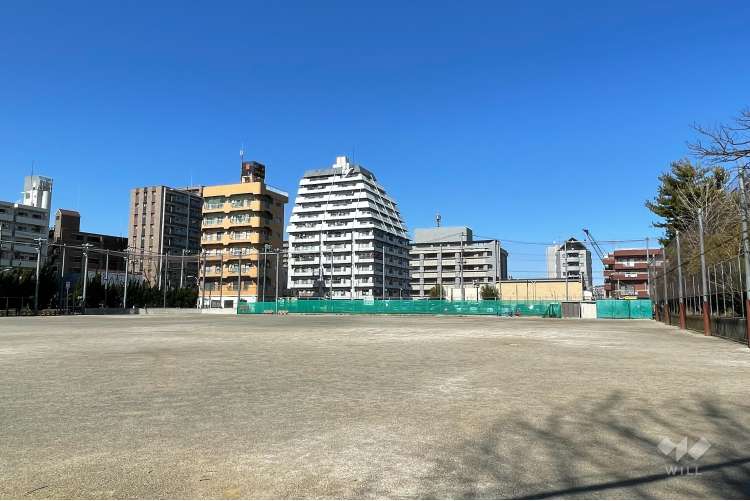 しょうぶ沼公園の写真