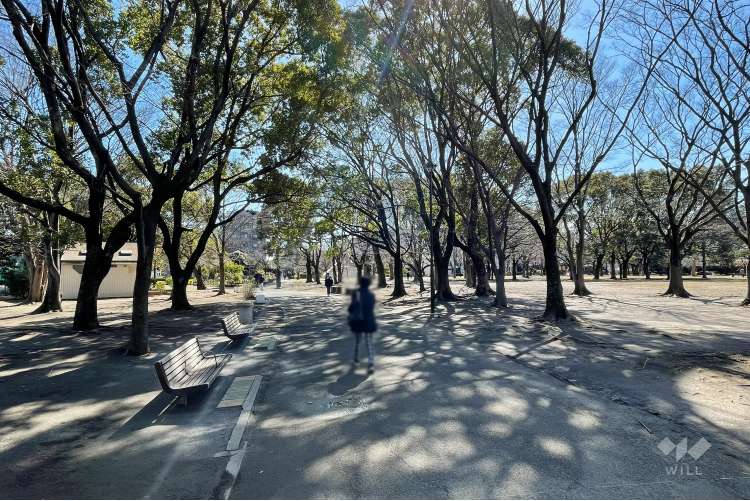 東綾瀬公園の写真