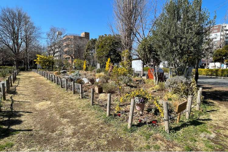 東綾瀬公園の写真