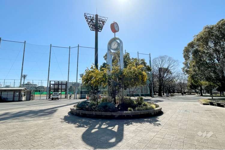 東綾瀬公園の写真