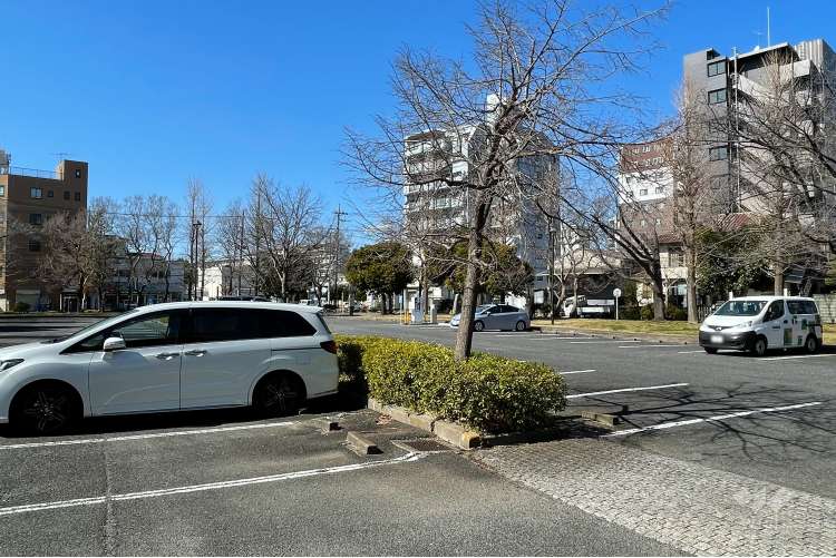 東綾瀬公園の写真