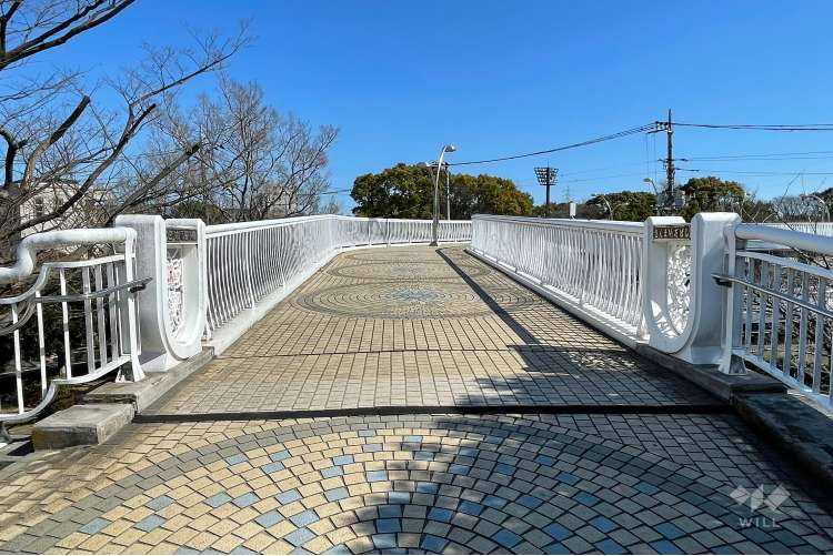 東綾瀬公園の写真