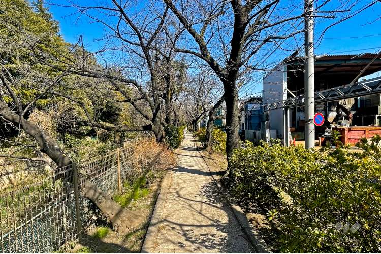 舎人緑道公園の写真