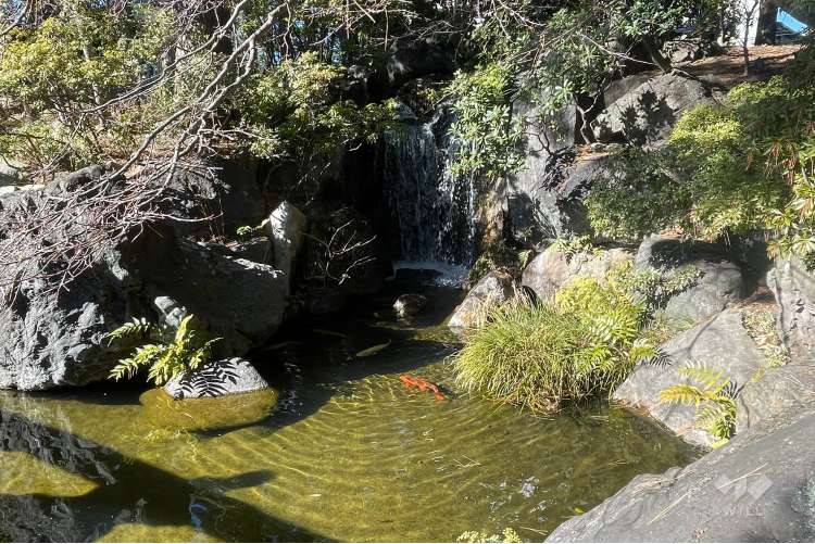 西新井大師 總持寺の写真