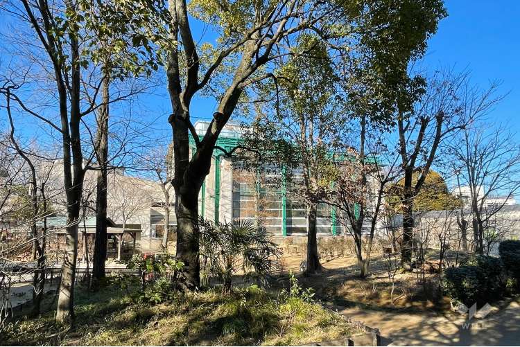 足立区生物園の写真