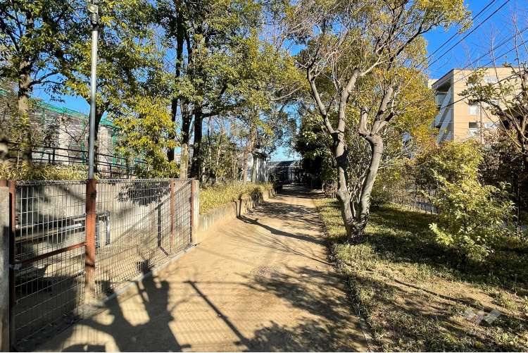 足立区生物園の写真