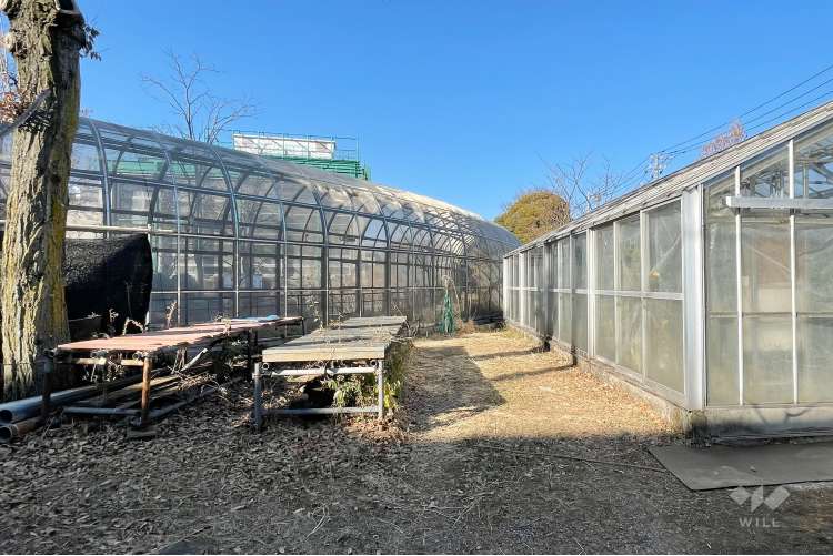 足立区生物園の写真