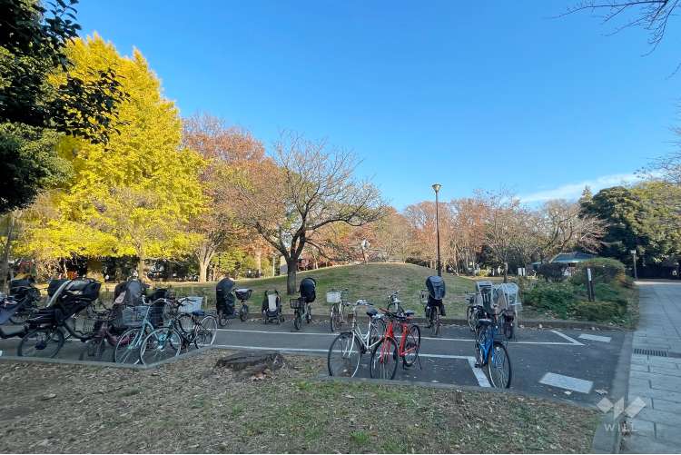 飛鳥山公園の写真