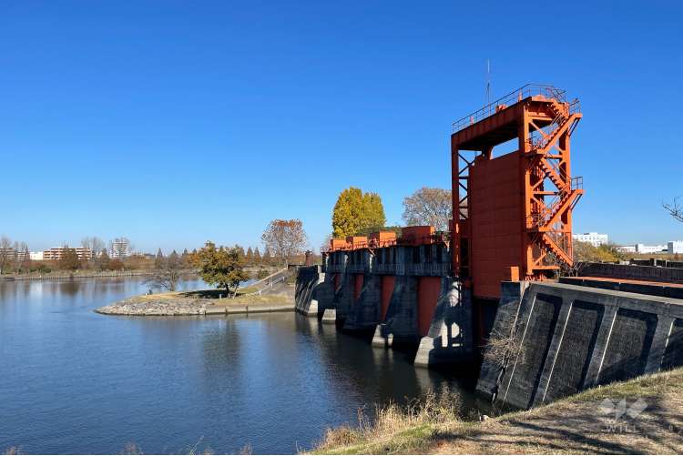 荒川岩淵関緑地の写真