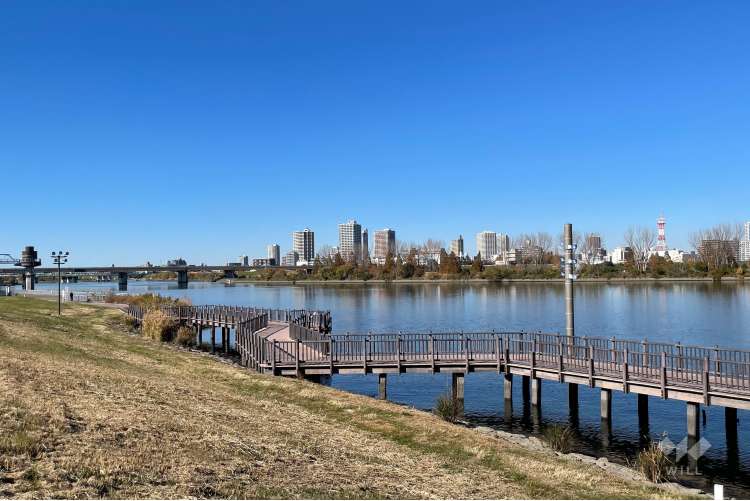 荒川岩淵関緑地の写真