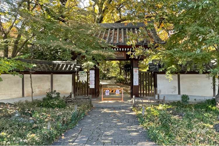 名主の滝公園 の写真