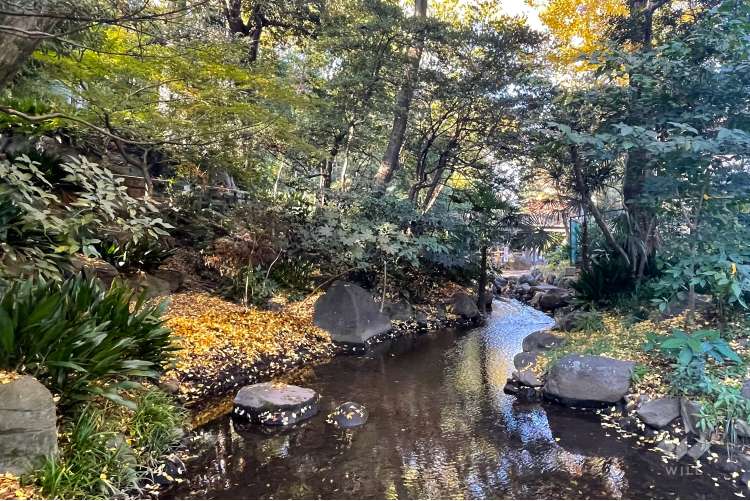 名主の滝公園 の写真