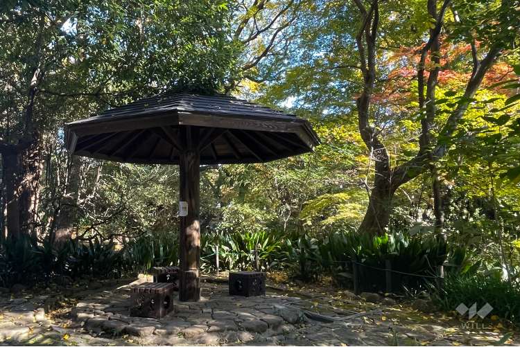 名主の滝公園 の写真