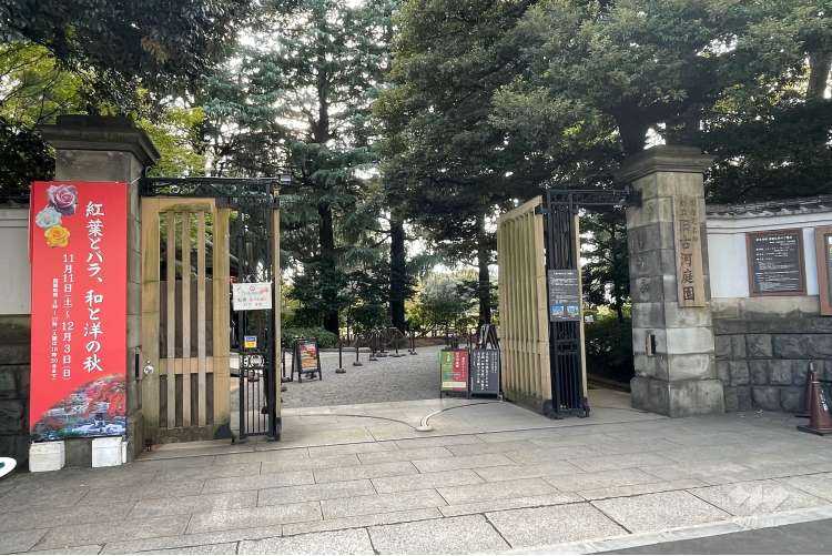 旧古河庭園の写真