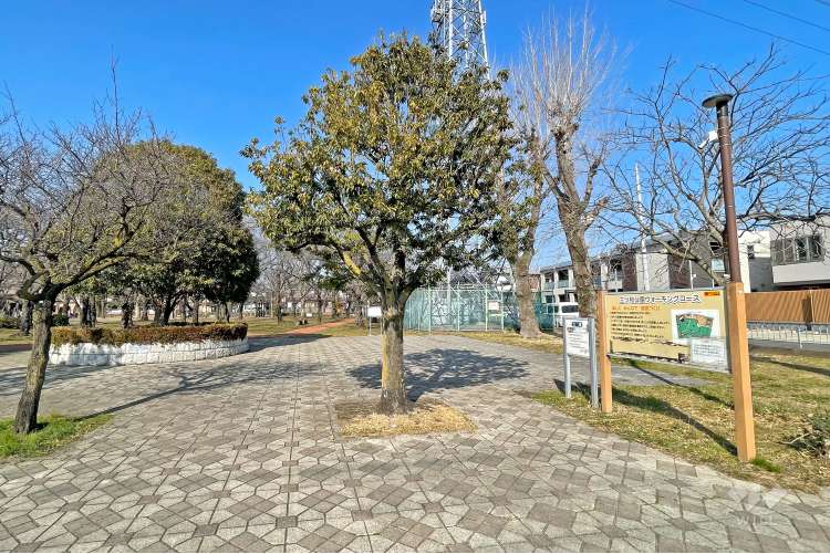 三ツ和公園の写真