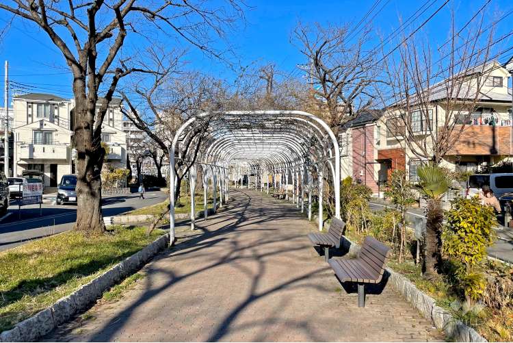 前谷津川緑道の写真