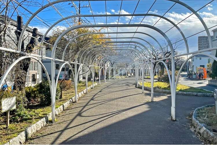 前谷津川緑道の写真