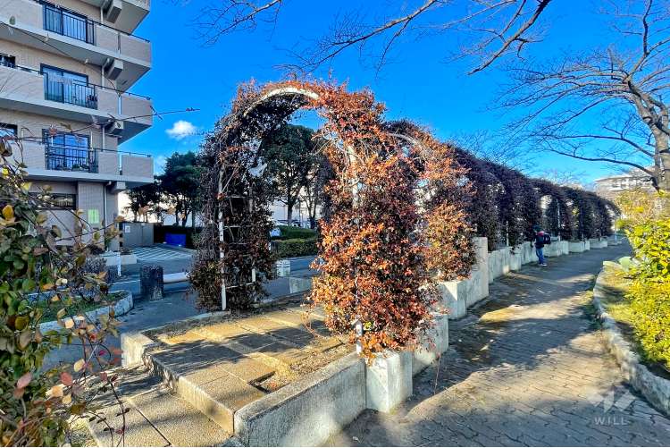 前谷津川緑道の写真