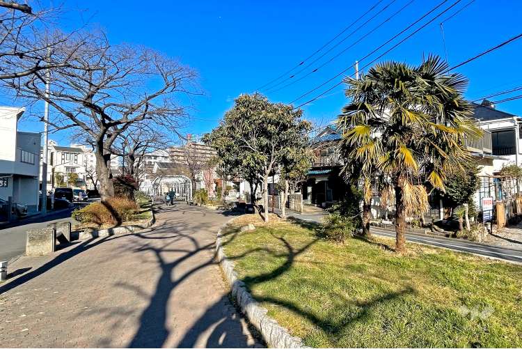 前谷津川緑道の写真