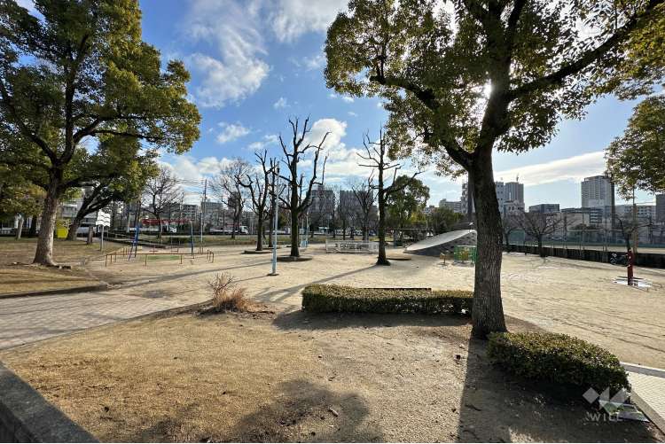 松島公園の写真