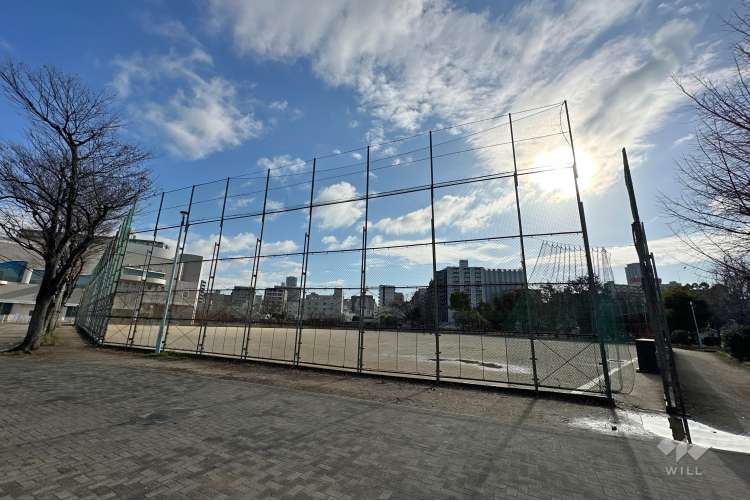 松島公園の写真