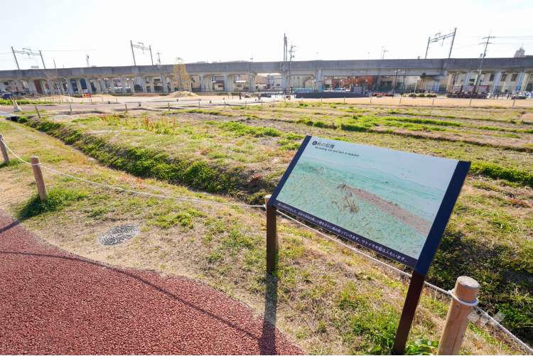 安満遺跡公園の写真
