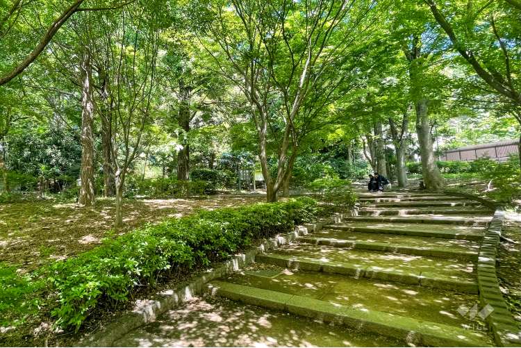 清水谷公園の写真