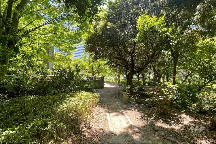 清水谷公園の写真