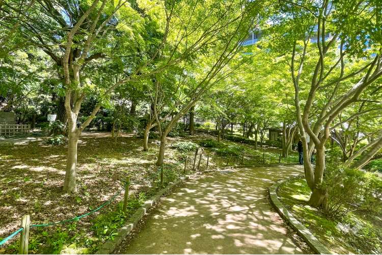 清水谷公園の写真