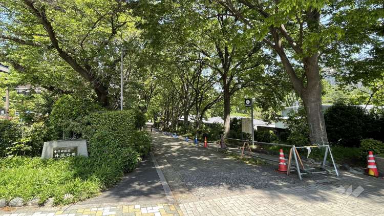 外濠公園の写真