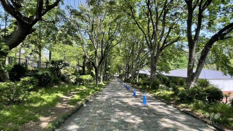 外濠公園の写真