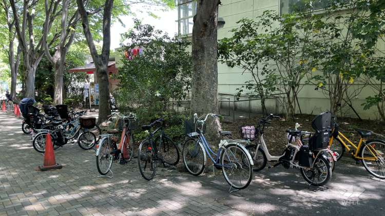 外濠公園の写真