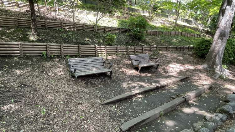 外濠公園の写真