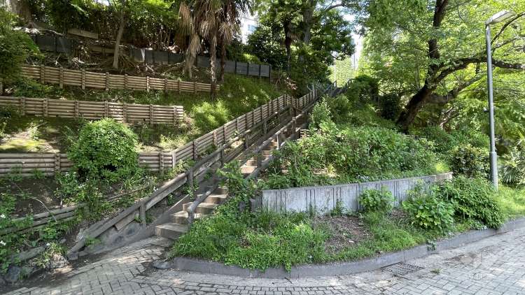 外濠公園の写真