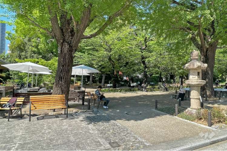 靖國神社の写真