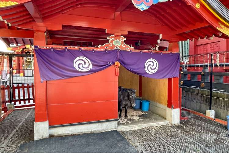 神田明神の写真