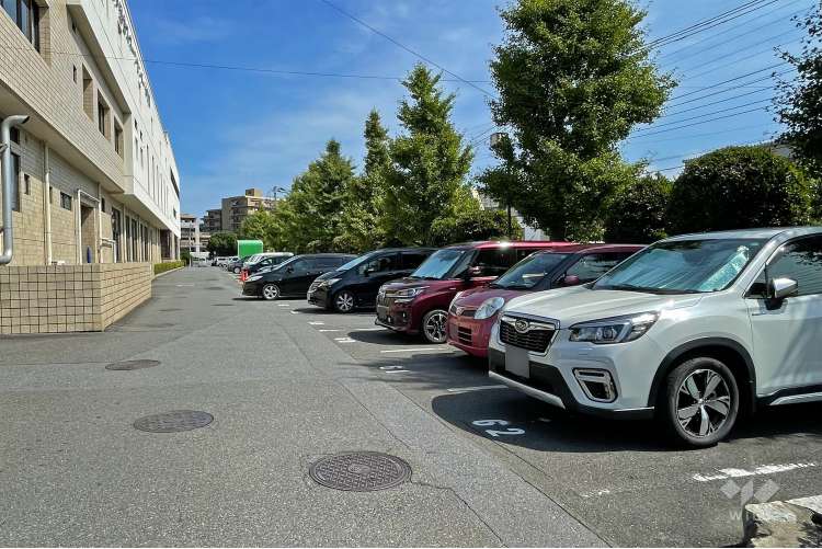 奥戸総合スポーツセンターの写真