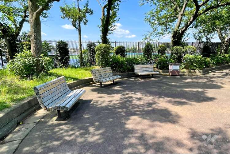 奥戸スポーツセンター公園の写真