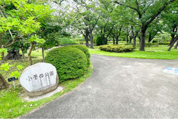 小菅西公園の写真