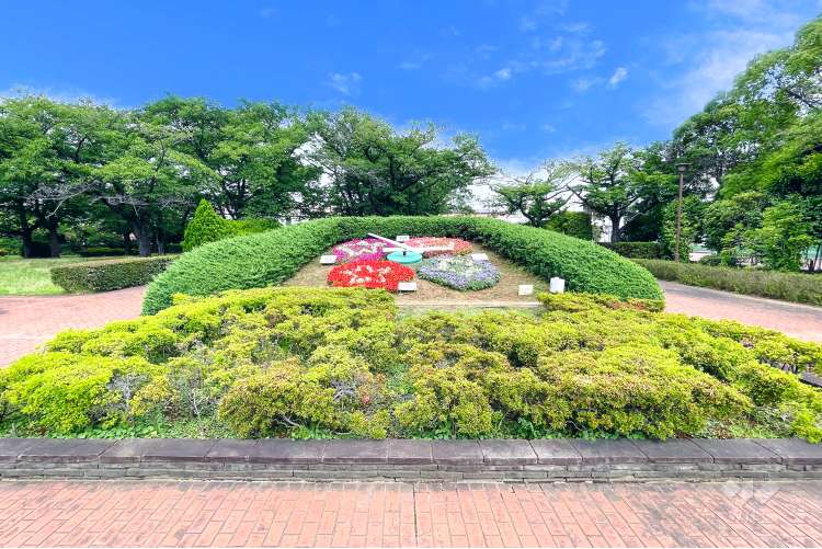 小菅西公園の写真