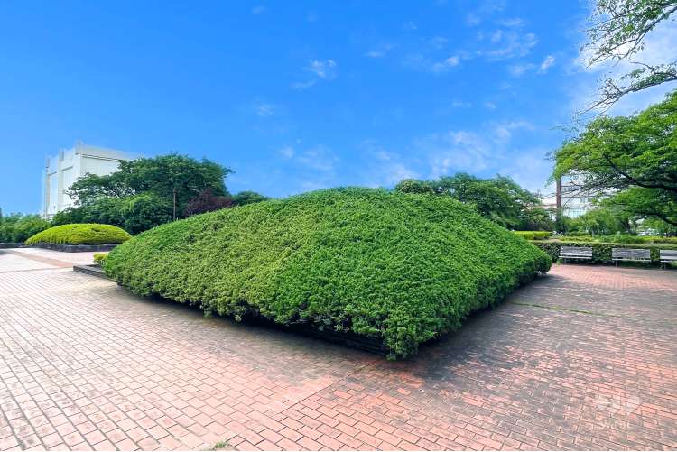 小菅西公園の写真