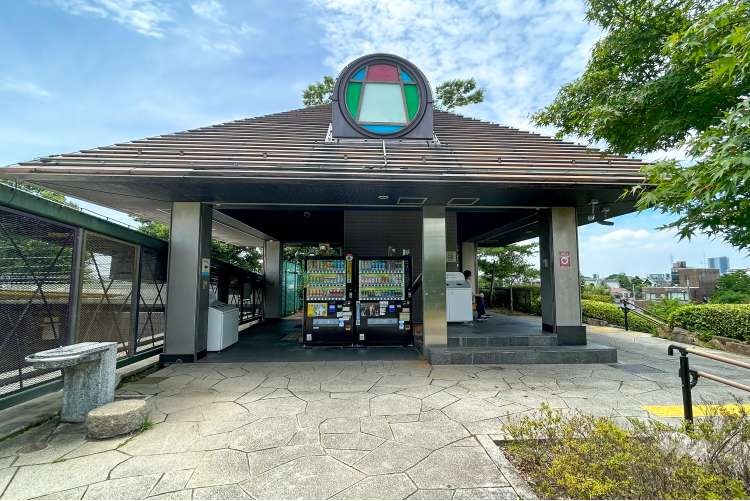 柴又公園の写真